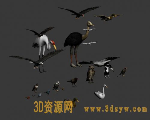 各种鸟