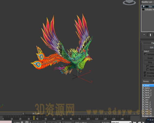 凤凰带绑定动画