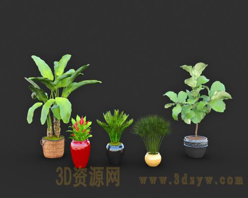植物盆栽3d模型 绿植模型