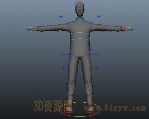 maya男人模型绑定