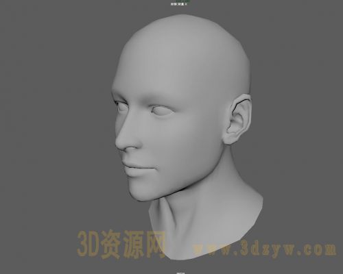 MAYA人头模型 人物头部模型