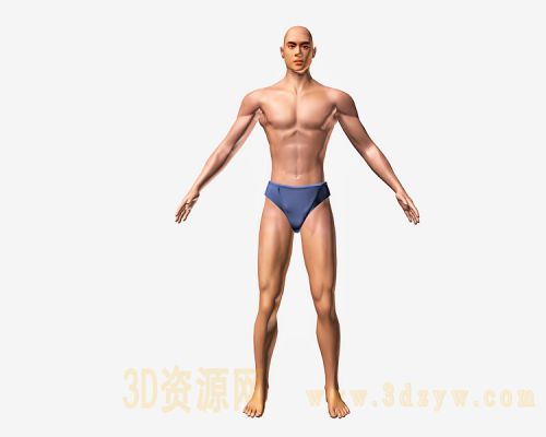 man 男人体模型 男人裸模