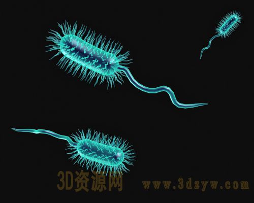 细菌病毒微生物3d模型 细菌模型 细菌病毒结构 微生物结构图