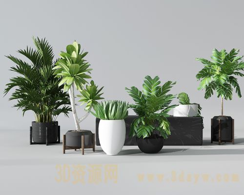 植物 现代室内盆栽 植物盆景绿植模型