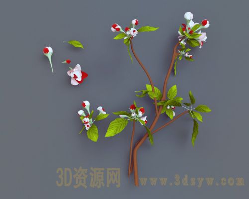 花朵花枝模型 樱花模型 桃花 花骨朵