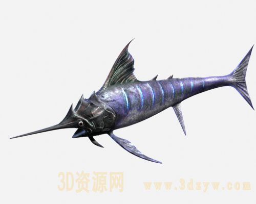 剑鱼3d模型 旗鱼 剑鱼
