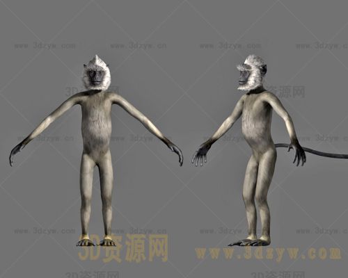/Uploads/Images/2025-02-21/3dzyw_works_67b81fefc4164.jpg
