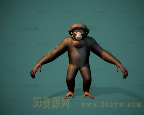 合趾猿模型 猴子 长臂猿