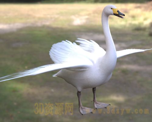 /Uploads/Images/2026-04-10/3dzyw_works_69d88cc846de6.jpg