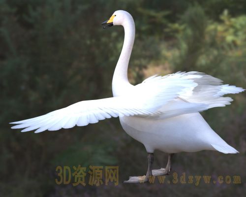 /Uploads/Images/2026-04-10/3dzyw_works_69d88ccc43a8f.jpg