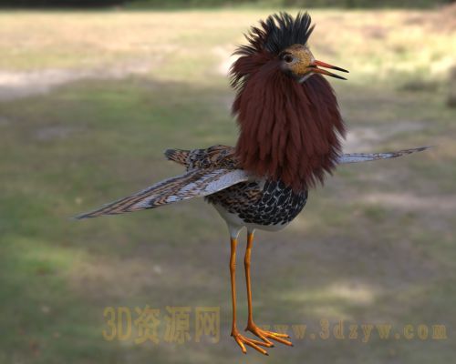 /Uploads/Images/2026-04-10/3dzyw_works_69d891bcccc85.jpg