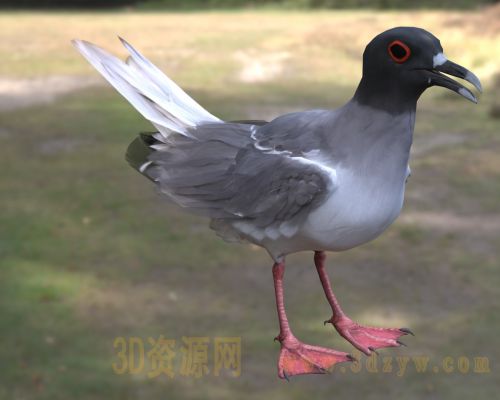 /Uploads/Images/2026-04-10/3dzyw_works_69d89991c64dc.jpg