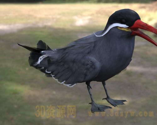 /Uploads/Images/2026-04-10/3dzyw_works_69d89dd070336.jpg