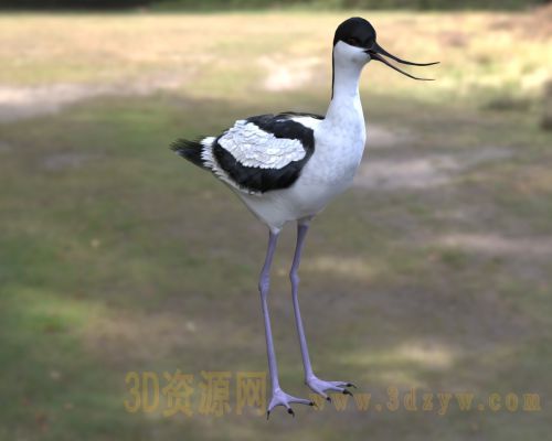 /Uploads/Images/2026-04-10/3dzyw_works_69d8b01db0d9f.jpg