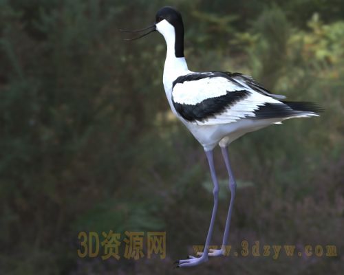 /Uploads/Images/2026-04-10/3dzyw_works_69d8b01fee305.jpg