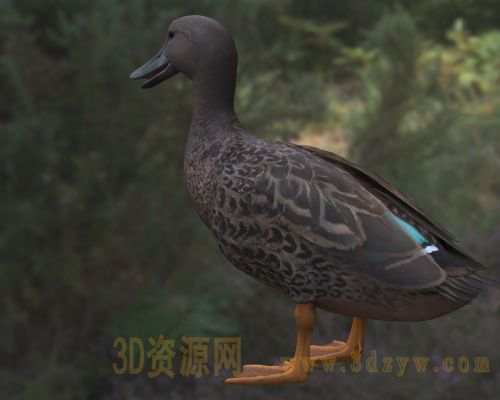 /Uploads/Images/2026-04-13/3dzyw_works_69dc8a75152d8.jpg