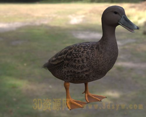 /Uploads/Images/2026-04-13/3dzyw_works_69dc8a772e0ea.jpg