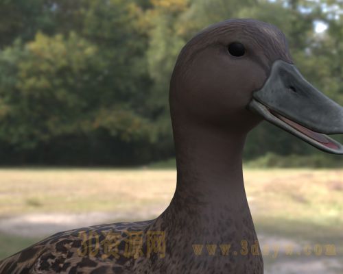/Uploads/Images/2026-04-13/3dzyw_works_69dc8a792de29.jpg