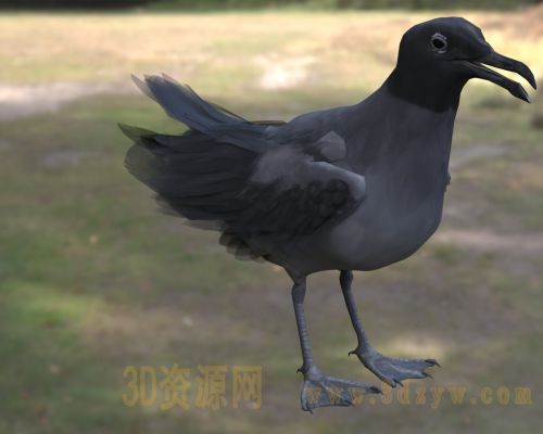 /Uploads/Images/2026-04-13/3dzyw_works_69dc8ece78014.jpg