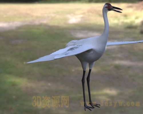/Uploads/Images/2026-04-13/3dzyw_works_69dc98f62b2c7.jpg