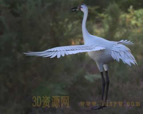 /Uploads/Images/2026-04-13/3dzyw_works_69dc98fa77d9a.jpg