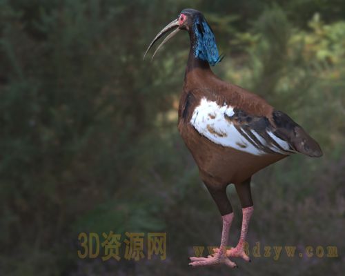 /Uploads/Images/2026-04-13/3dzyw_works_69dc9e6e0590a.jpg